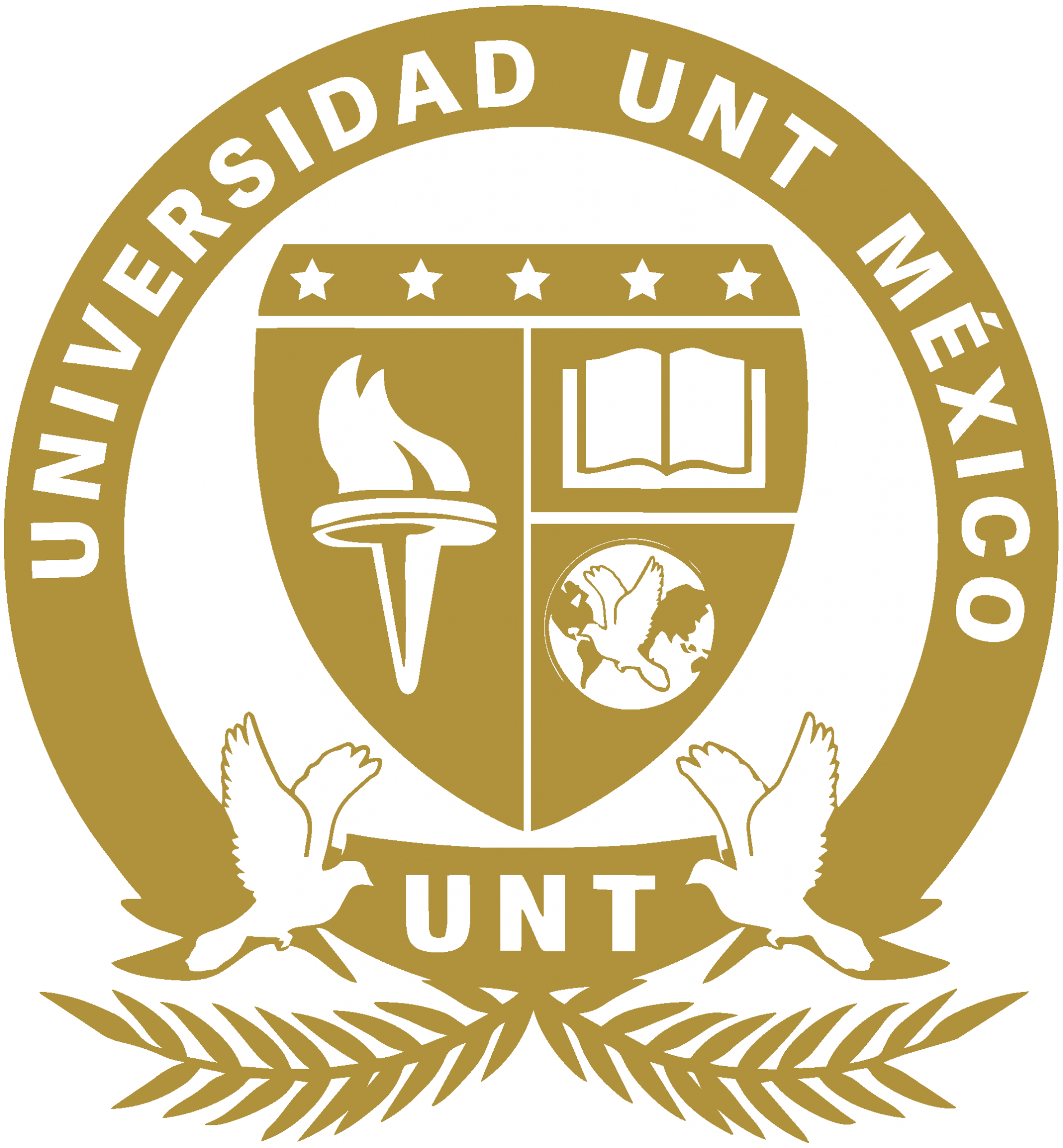 RVOEs – UNT Mexico